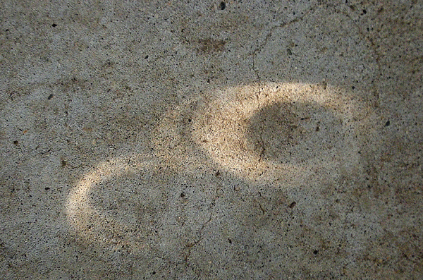a0001354_111630.gif