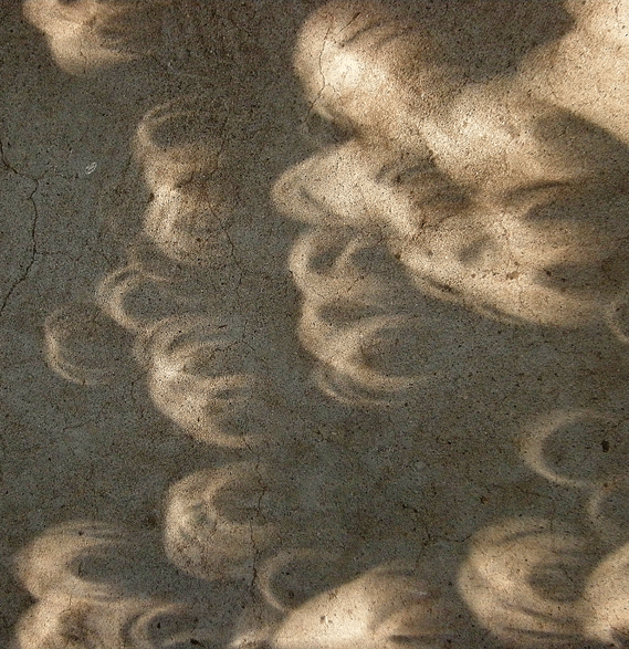 a0001354_1123035.gif