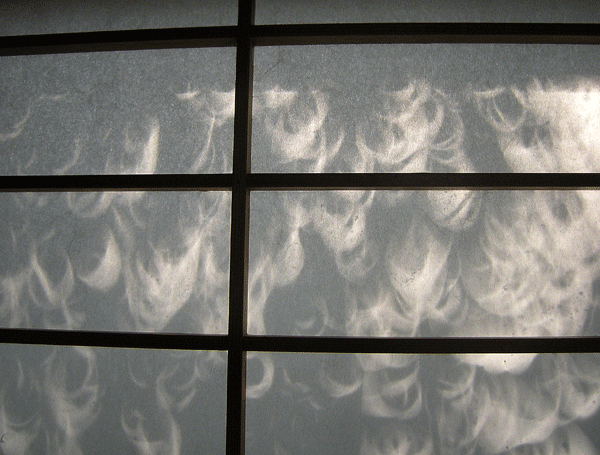 a0001354_1131069.gif