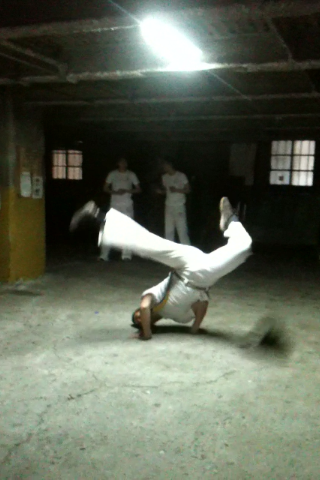 b0203654_035486.png
