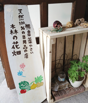 岡崎のやおやさん_d0240754_22223934.jpg