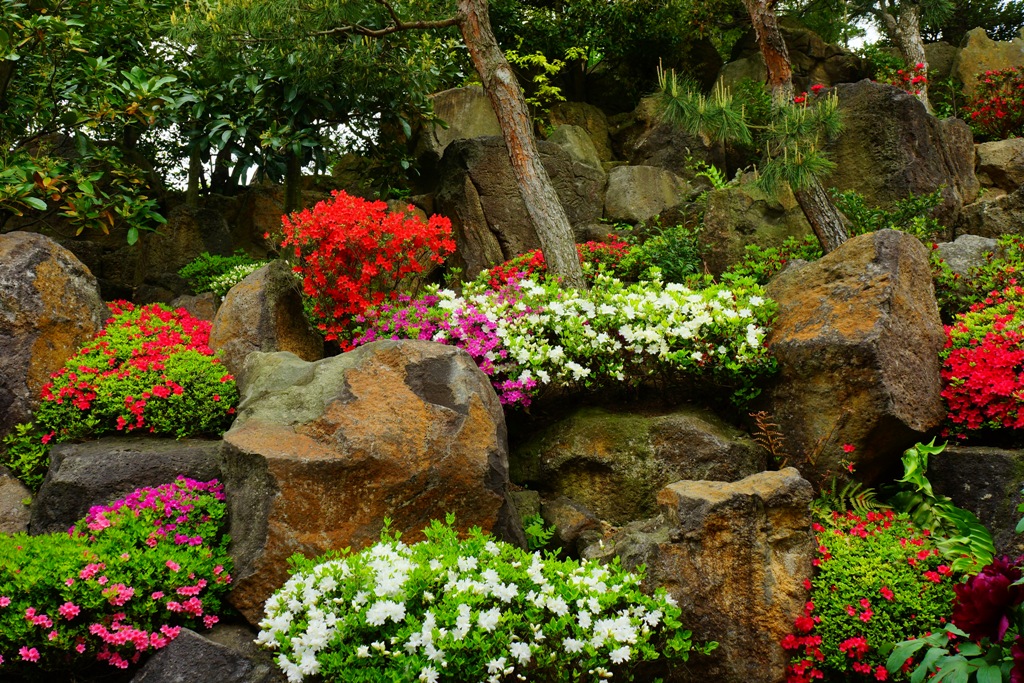 Japanese garden(島根県松江市・大根島「由志園」）_e0223456_6232619.jpg