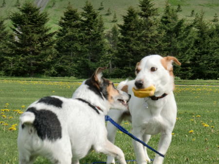 たまには1犬で。_b0105157_2155494.jpg