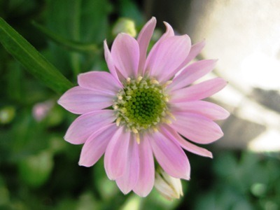 c0190960_6533611.jpg