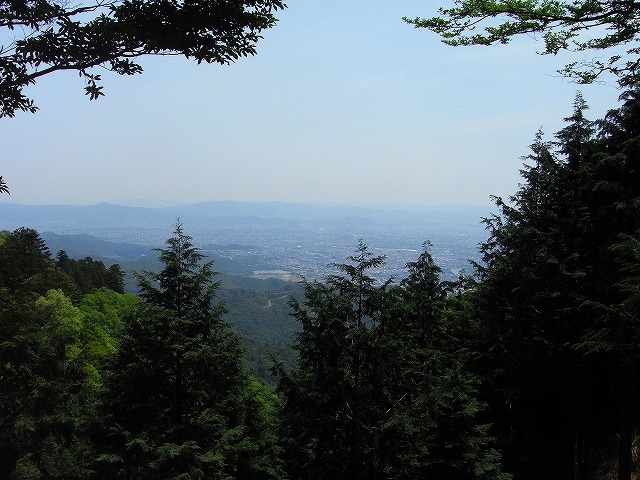 b0044663_1465121.jpg