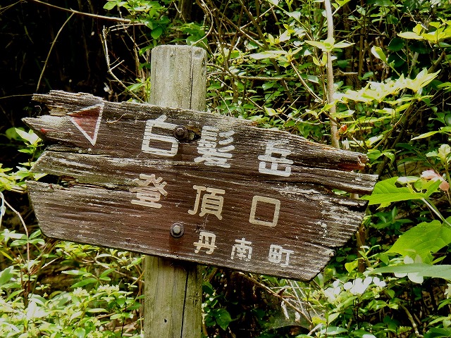 b0044663_16225831.jpg