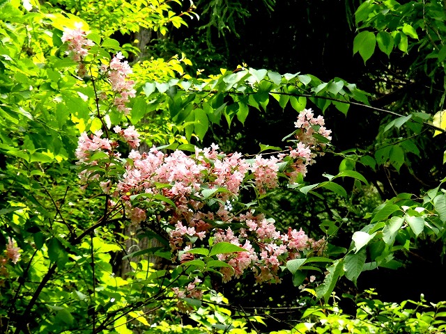 b0044663_16243973.jpg
