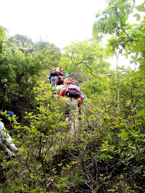 はんなりオフ：白髪岳と松尾山_b0044663_16264815.jpg