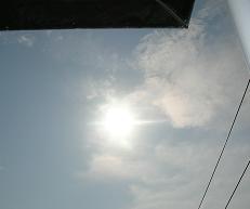 f0139963_8174.jpg