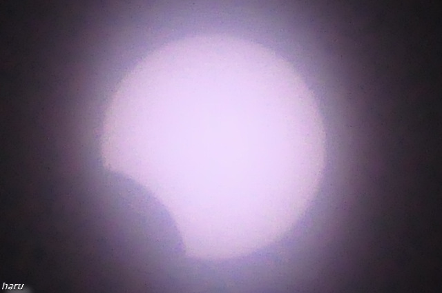 a0275965_1704627.jpg
