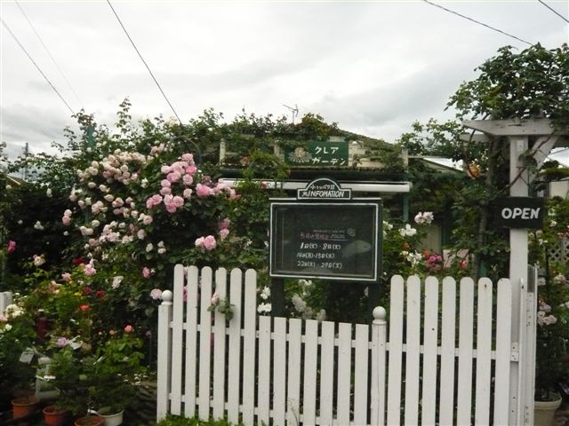 鹿児島の期間限定 バラ専門店 クレアガーデン 宮崎の花屋 アナーセン