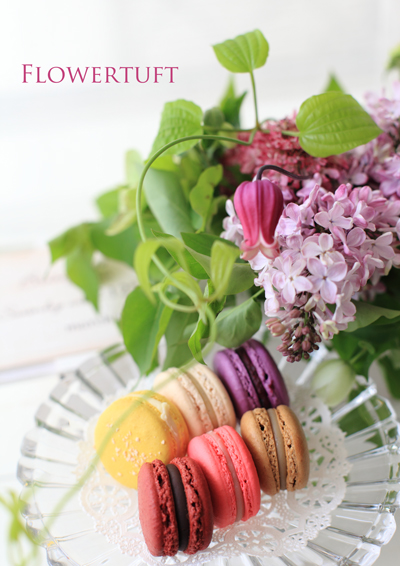 es&macaronsと幻の小山ロール_c0137872_021191.jpg