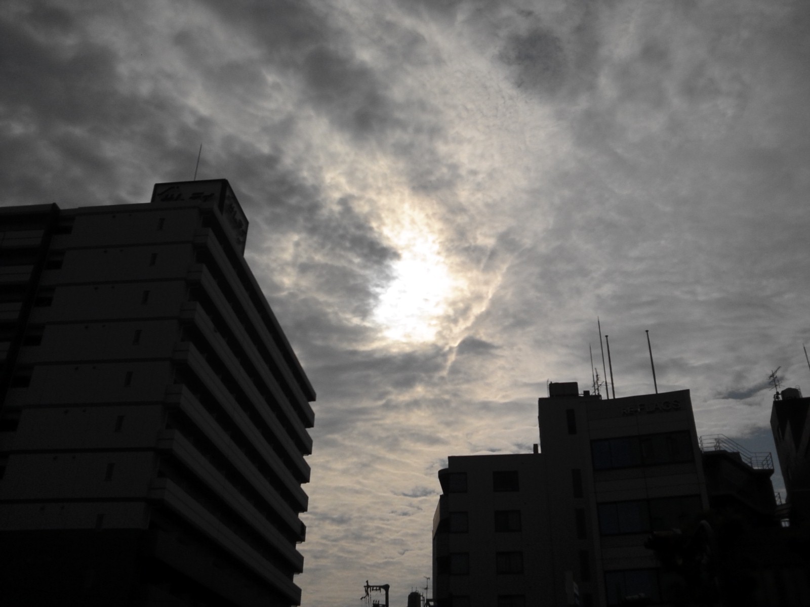 金環日食_c0105280_7471355.jpg