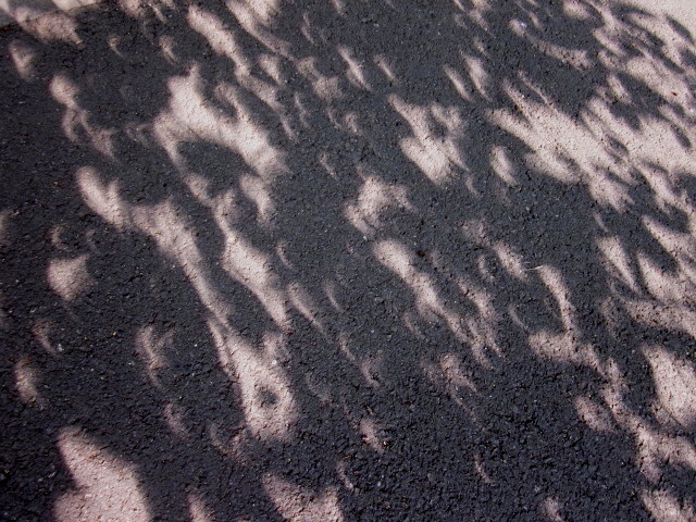 Pinhole eclipse.      _d0222386_1250751.jpg