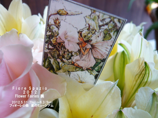 Flower Fairies展_a0225587_941295.jpg