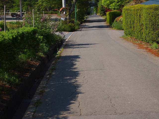 e0008887_13353790.jpg
