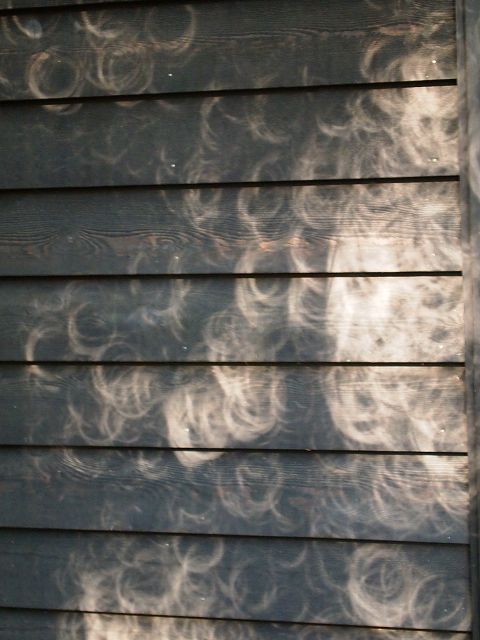 e0008887_13361258.jpg