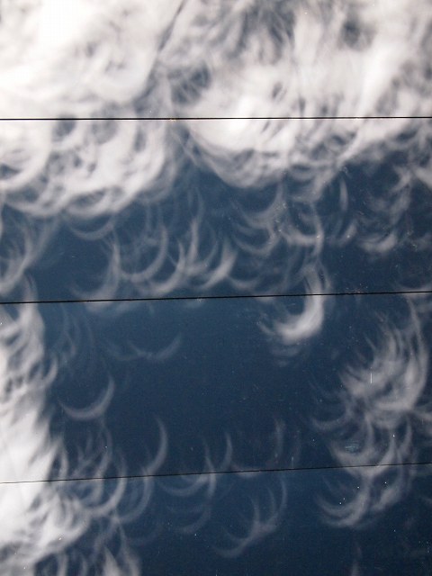 e0008887_13411534.jpg
