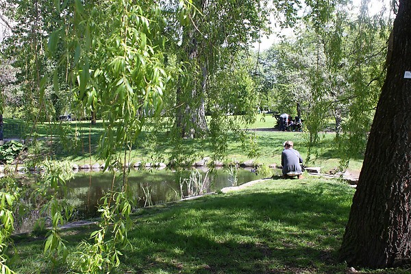 d0182292_437526.jpg