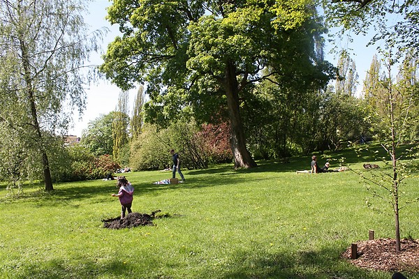 d0182292_4383090.jpg