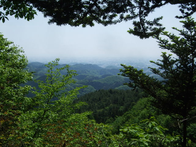 大梅寺から新緑の蕃山を歩く　_f0100593_19224682.jpg