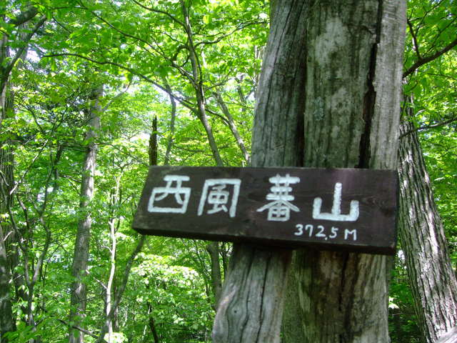 大梅寺から新緑の蕃山を歩く　_f0100593_19232035.jpg