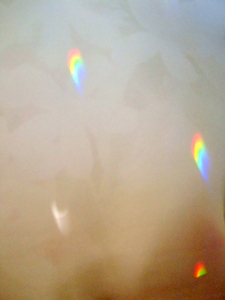 a0256995_1341384.jpg