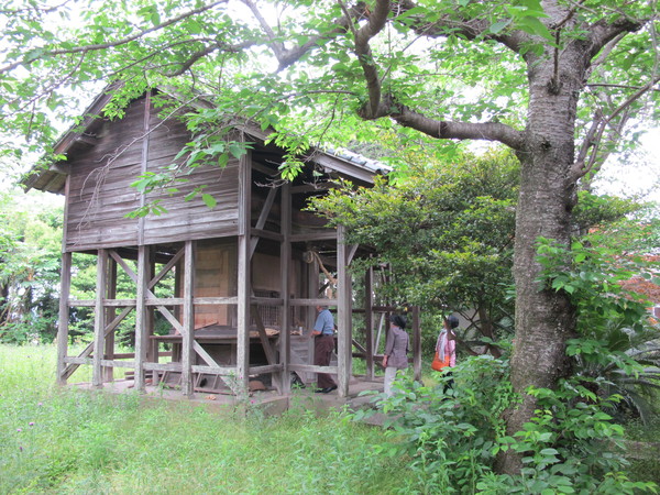 第2回八幡文化を訪ねる旅「宇佐八ケ社巡り」　2012・5・19_a0166196_22502974.jpg