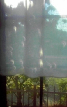 c0173697_21172511.jpg