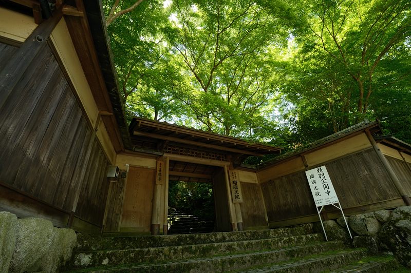 青葉巡り・瑠璃光院　其の一_f0032011_206385.jpg