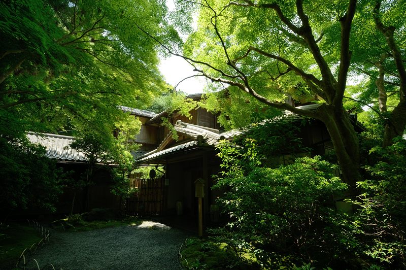 青葉巡り・瑠璃光院　其の一_f0032011_2065931.jpg