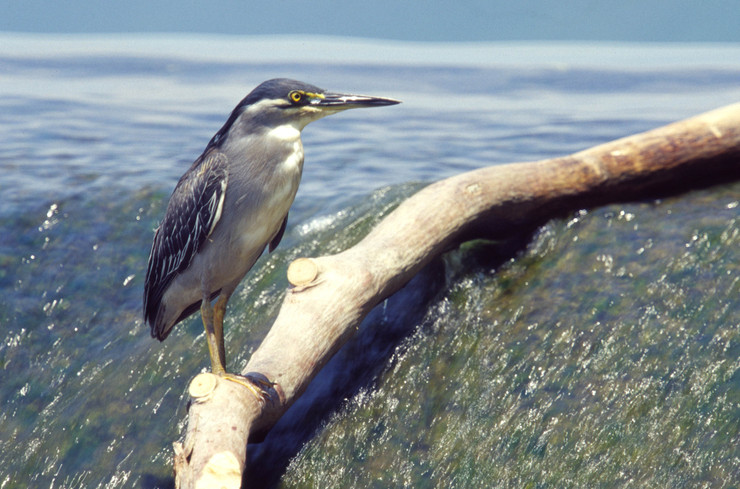 c0235114_811147.jpg