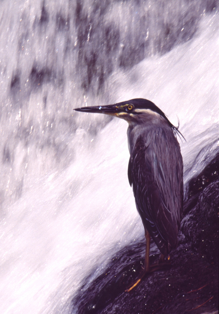 c0235114_815254.jpg