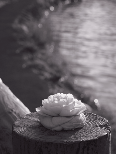 d0006718_937114.gif