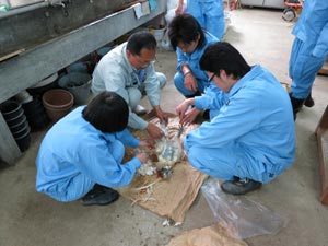 f0087620_16303075.jpg