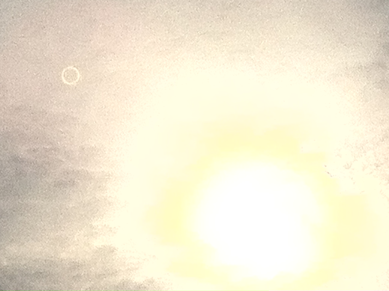 今週のお花_a0200423_1873245.jpg