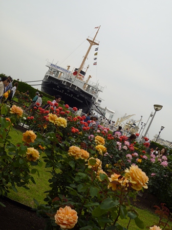 b0226431_234422.jpg