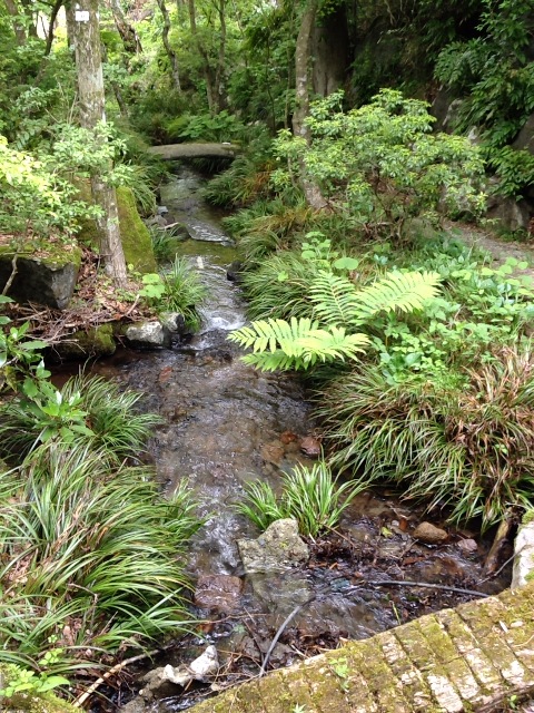 a0254133_103621.jpg