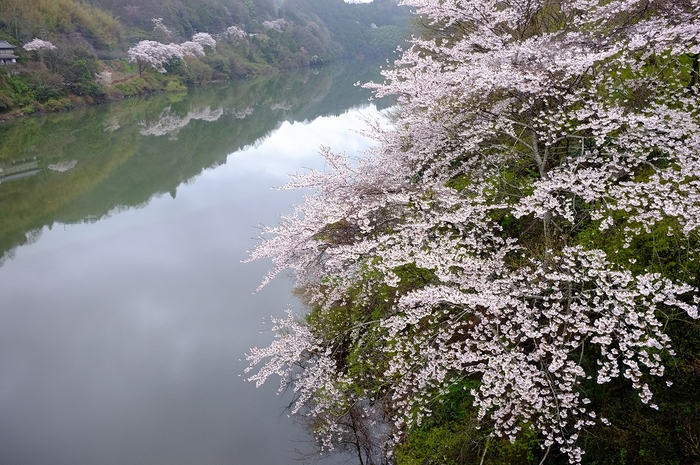 FUJIFILM X100 ワイドコンバージョンレンズ　見参_f0050534_9345890.jpg