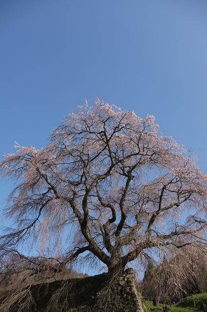 FUJIFILM X100 ワイドコンバージョンレンズ　見参_f0050534_9361130.jpg
