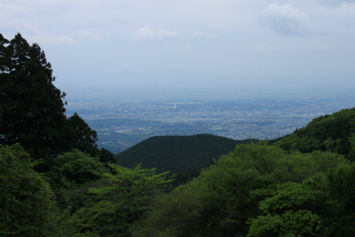 金剛山　花のカトラ谷を登る 大阪府最高峰_d0055236_6231257.jpg