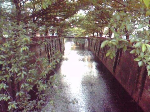 c0076939_22525595.jpg