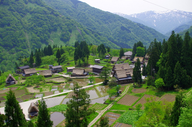 d0186245_1340465.jpg