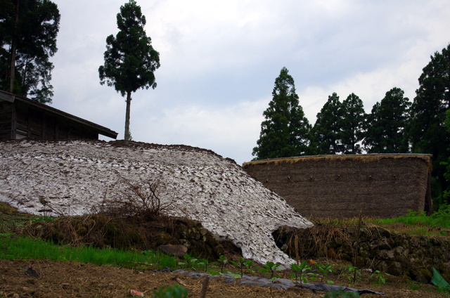 d0186245_1402169.jpg
