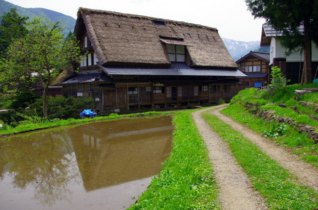 d0186245_140390.jpg