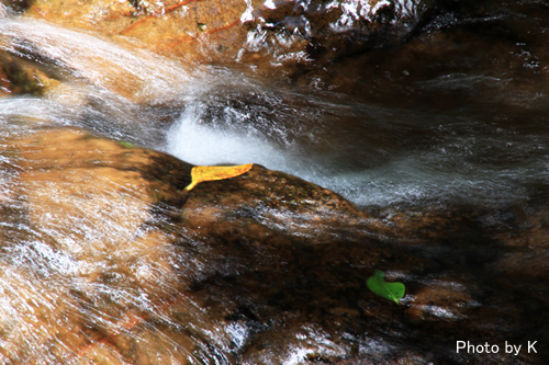 c0127748_6553069.jpg