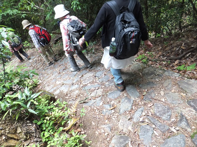 d0048350_2003873.jpg