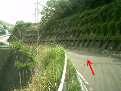 e0033751_22681.jpg