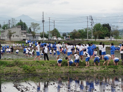 情報高校の生徒さんの田植え_a0084753_14575044.jpg