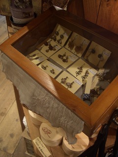 e0131959_1024027.jpg
